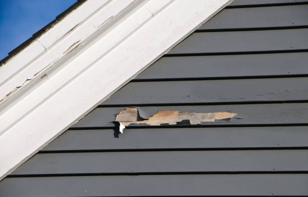 Affordable Siding Repair and Maintenance Services in Oakhurst, CA